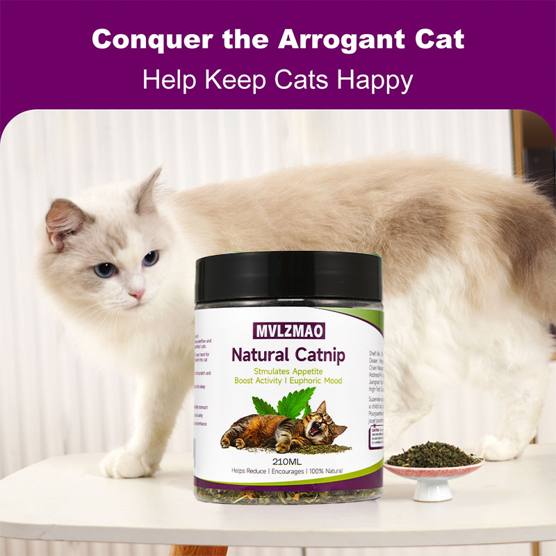 Kedi Oyuncakları - Kediler içi - Herbal Wellness Products incelemesi ve fiyatı