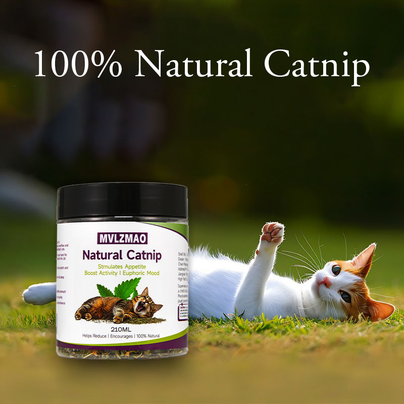 Kedi Oyuncakları - Kediler içi - Herbal Wellness Products incelemesi ve fiyatı