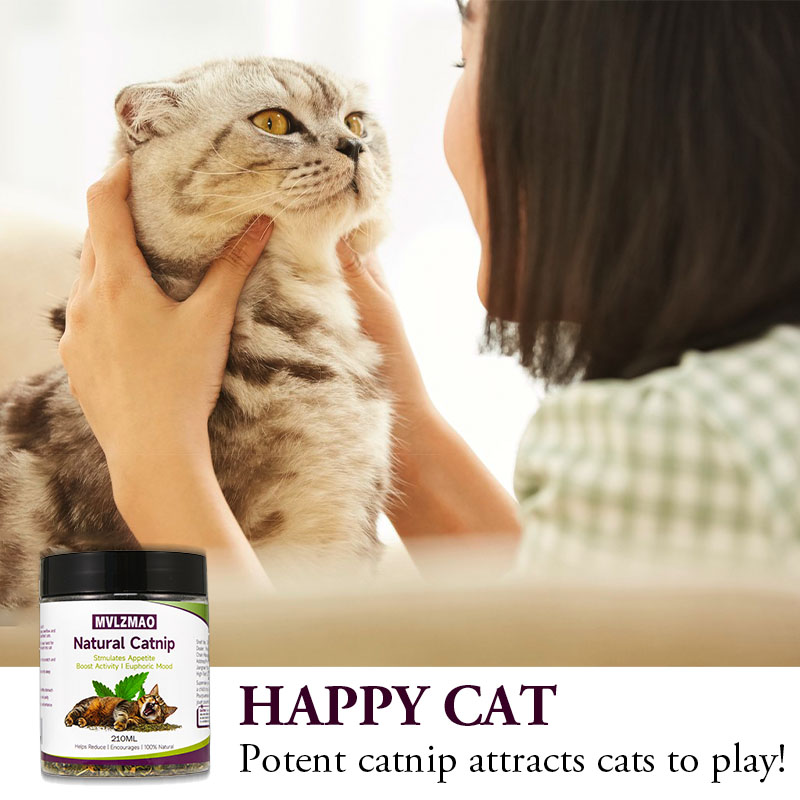 Kedi Oyuncakları - Kediler içi - Herbal Wellness Products incelemesi ve fiyatı